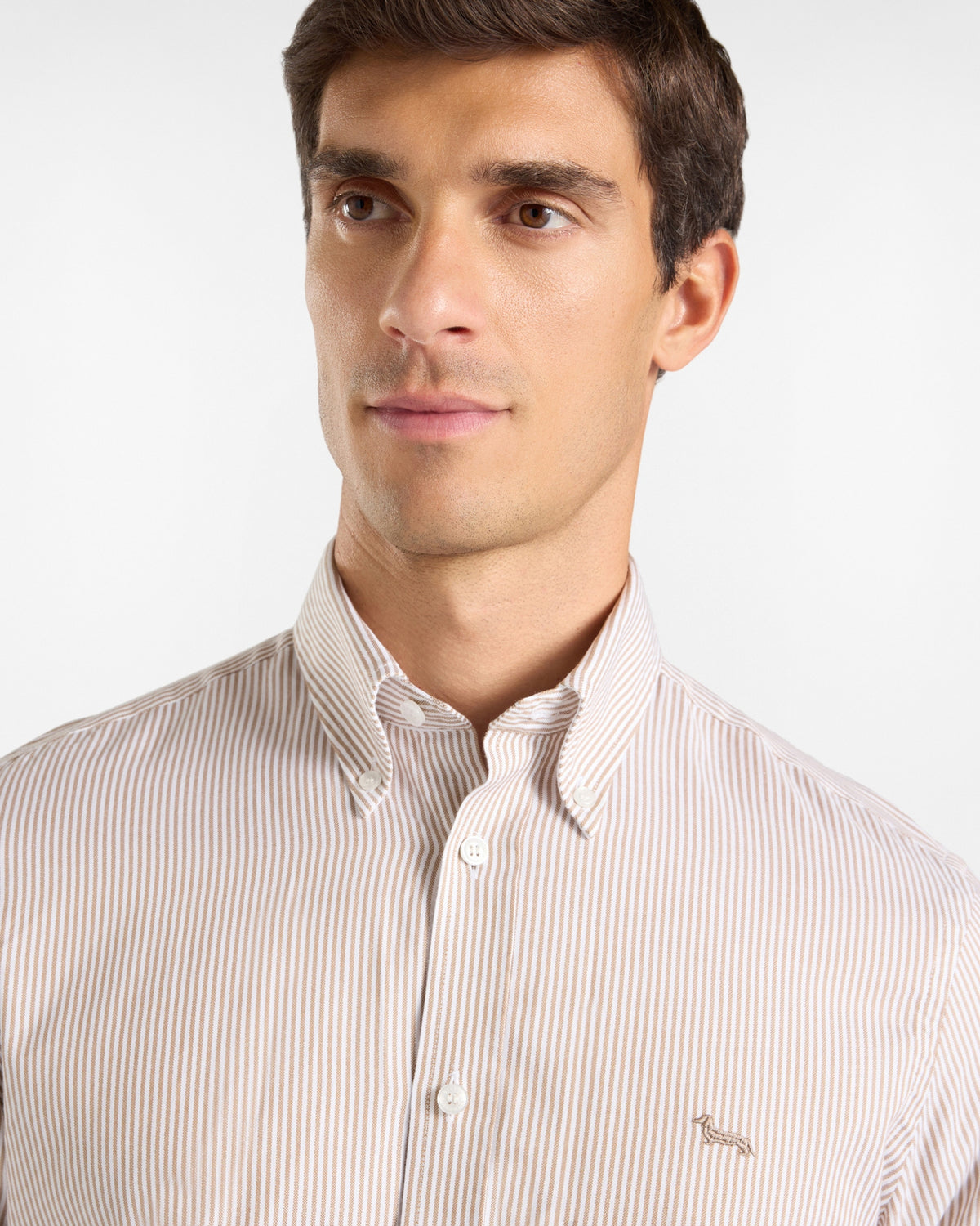 Camicia Uomo riga oxford tinto filo Regular Fit marrone CRR011013933B 733 HARMONT & BLAINE