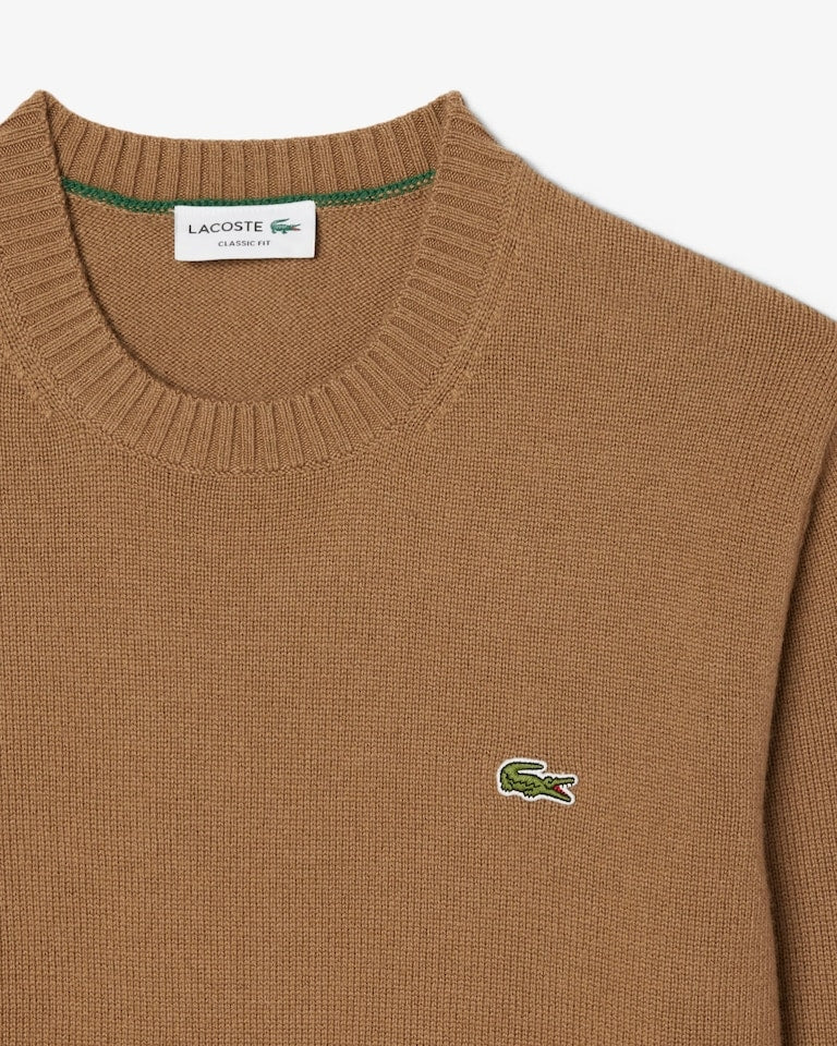 Maglione a girocollo in lana cardata AH2916 SIX LACOSTE