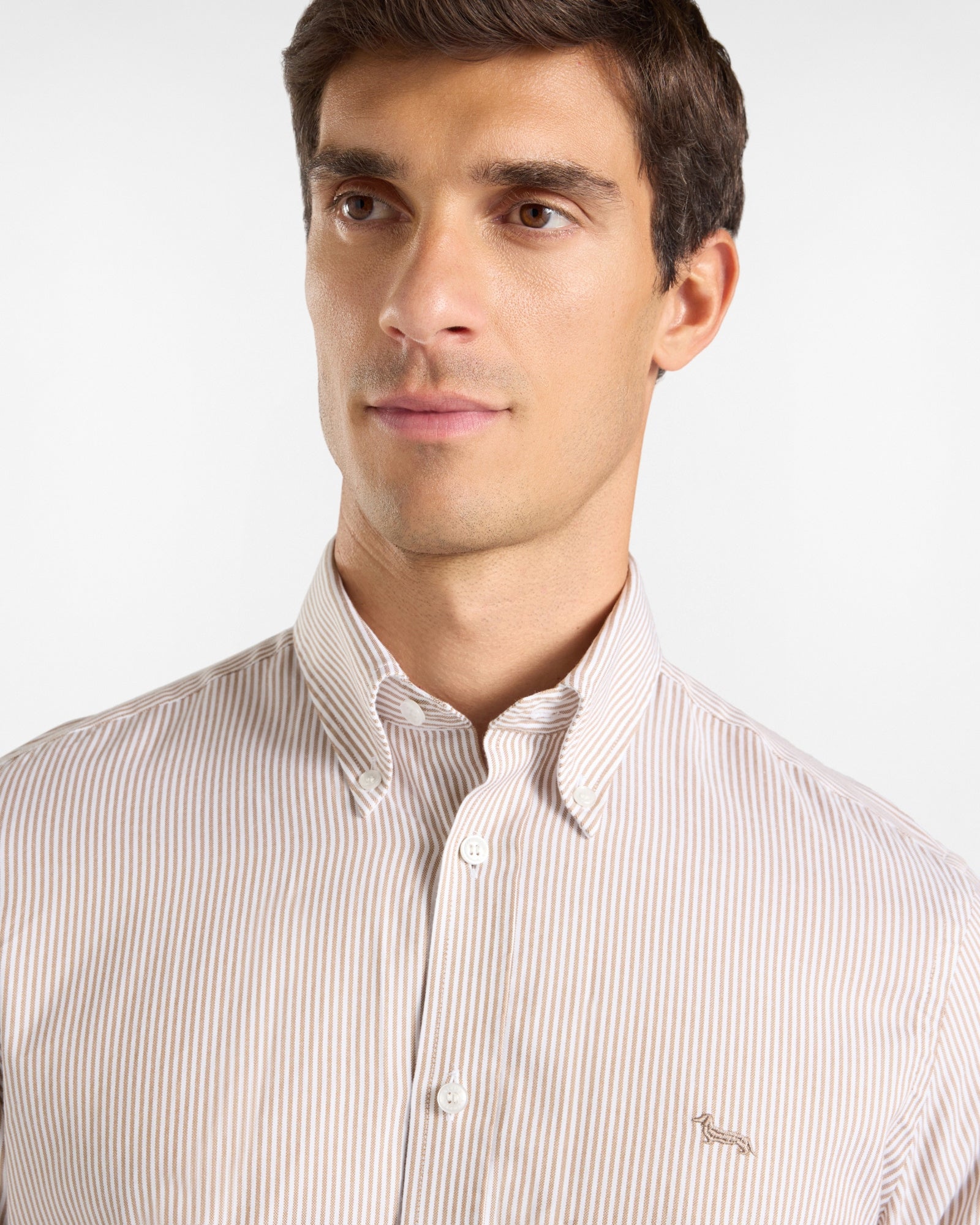 Camicia Uomo riga oxford tinto filo Regular Fit marrone CRR011013933B 733 HARMONT & BLAINE 