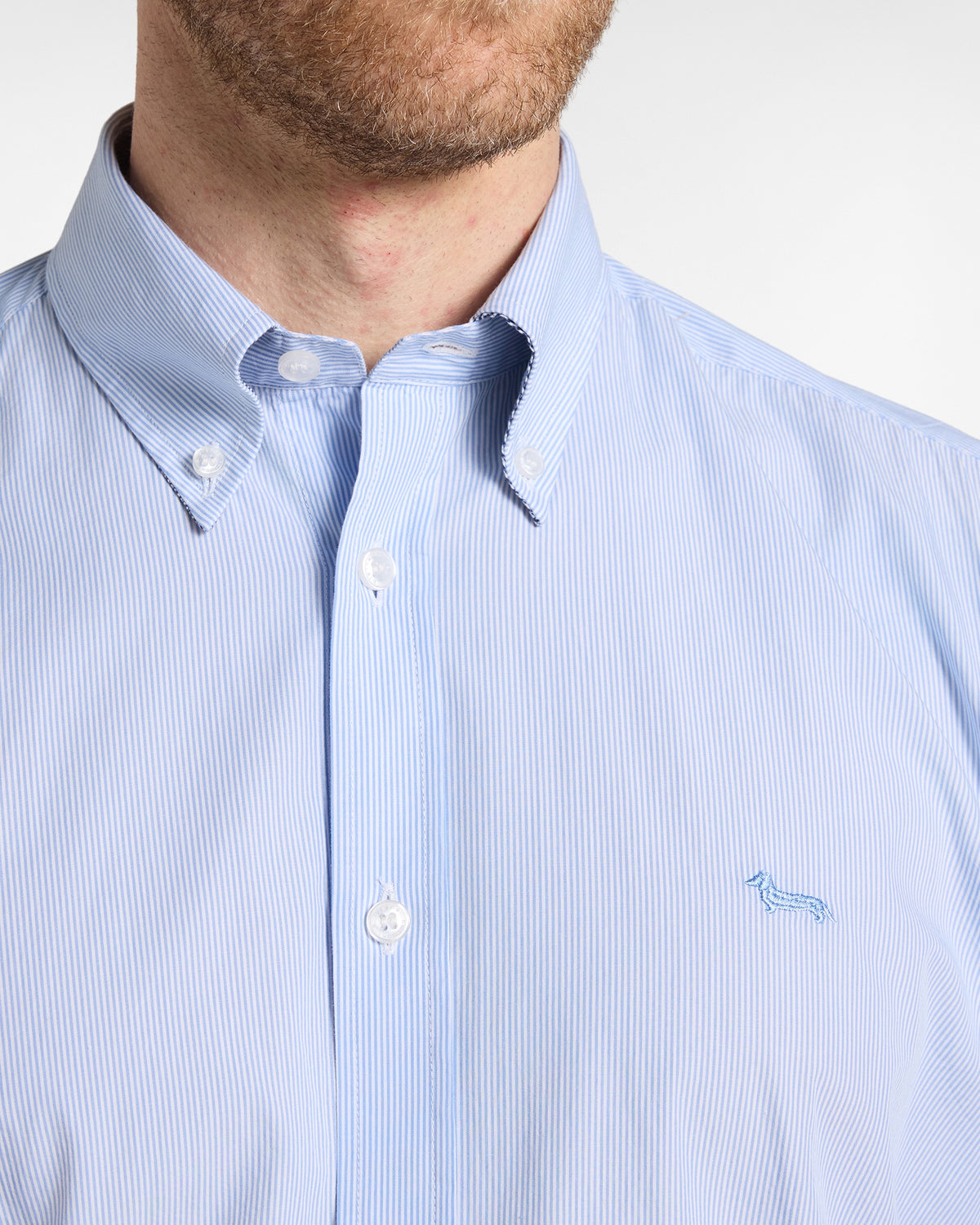 Camicia Uomo micro riga tinto filo Regular Fit azzurro<BR/> CRR074013435B 810 HARMONT & BLAINE 