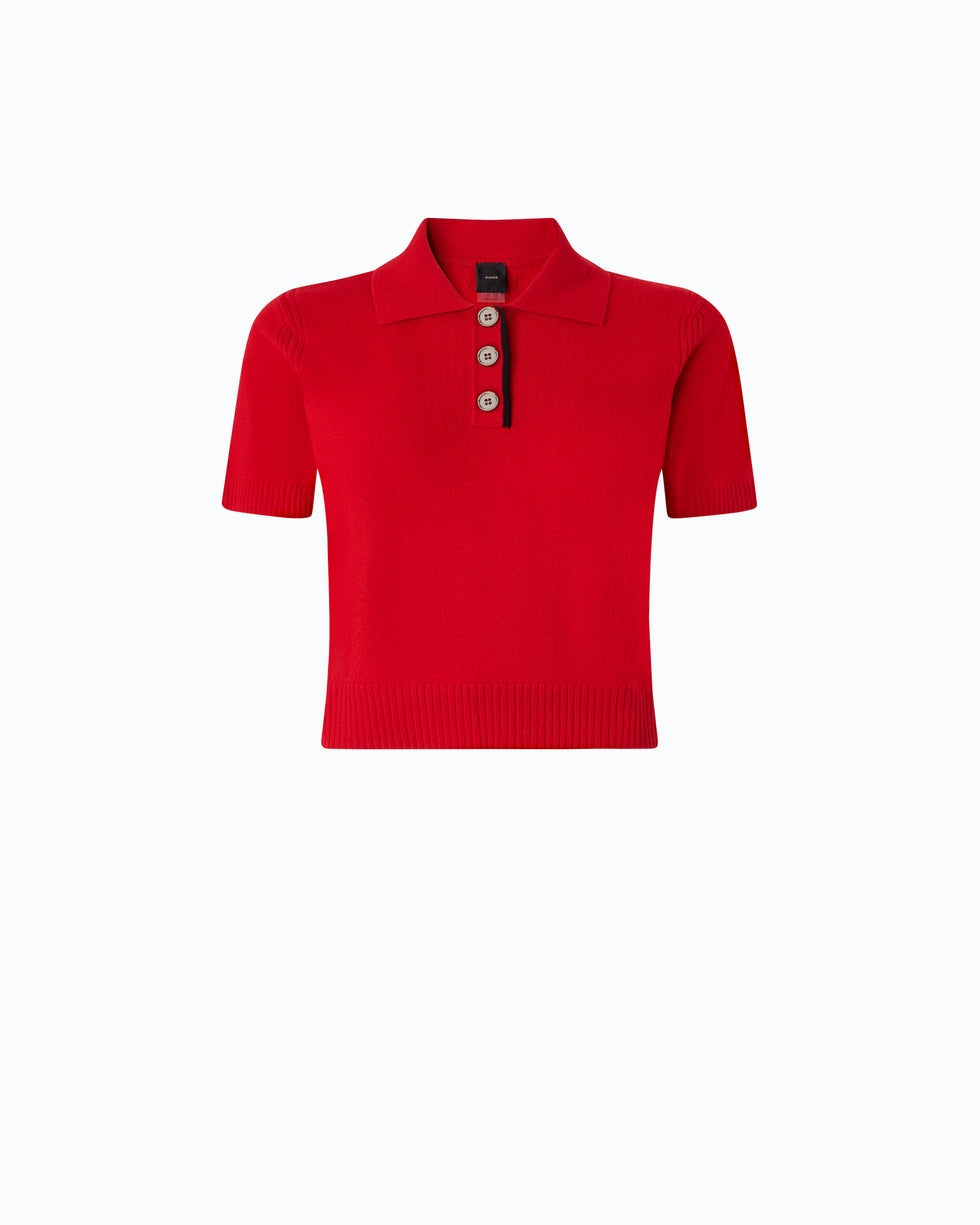 Polo cropped in lana e cashmere gorgona 105450A3G1 R66 PINKO 