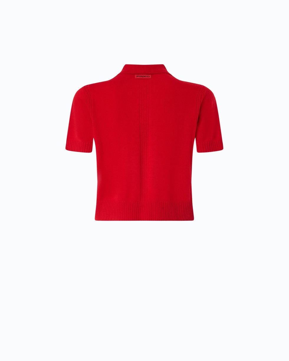 Polo cropped in lana e cashmere gorgona 105450A3G1 R66 PINKO 