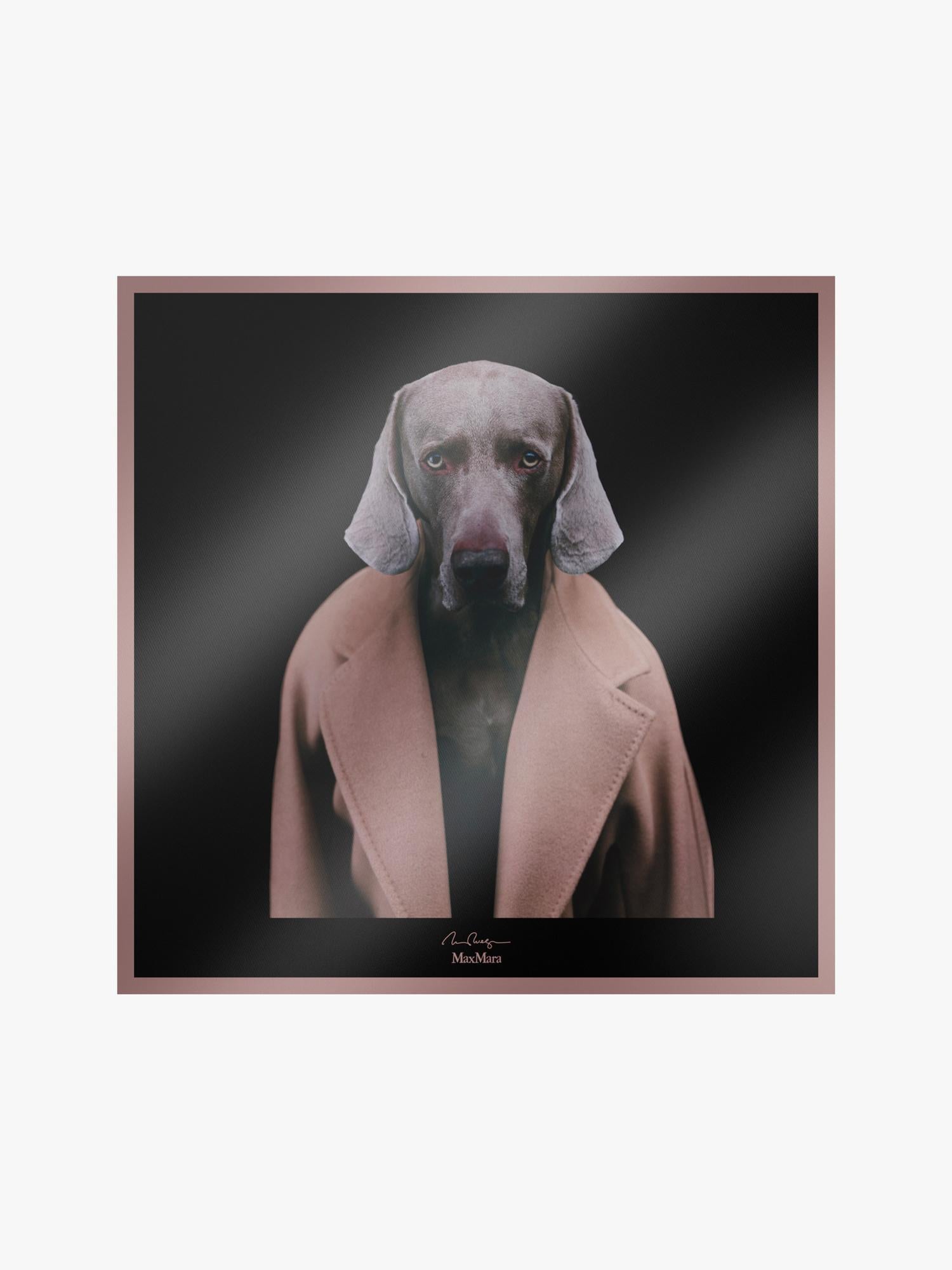Foulard donna carremadame in pura seta con stampa 2424546151600 006 MAX MARA ACCESSORI 