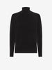 Velvet Turtleneck Knit