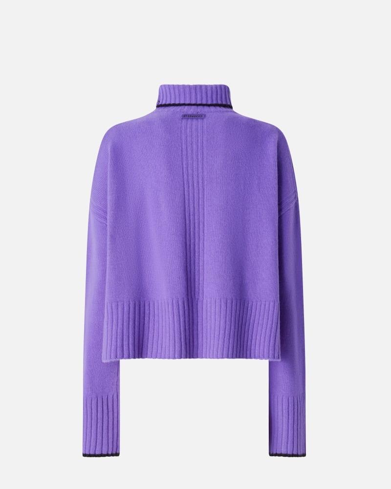 falkland Dolcevita in maglia 105446A2Q9 W21 PINKO 