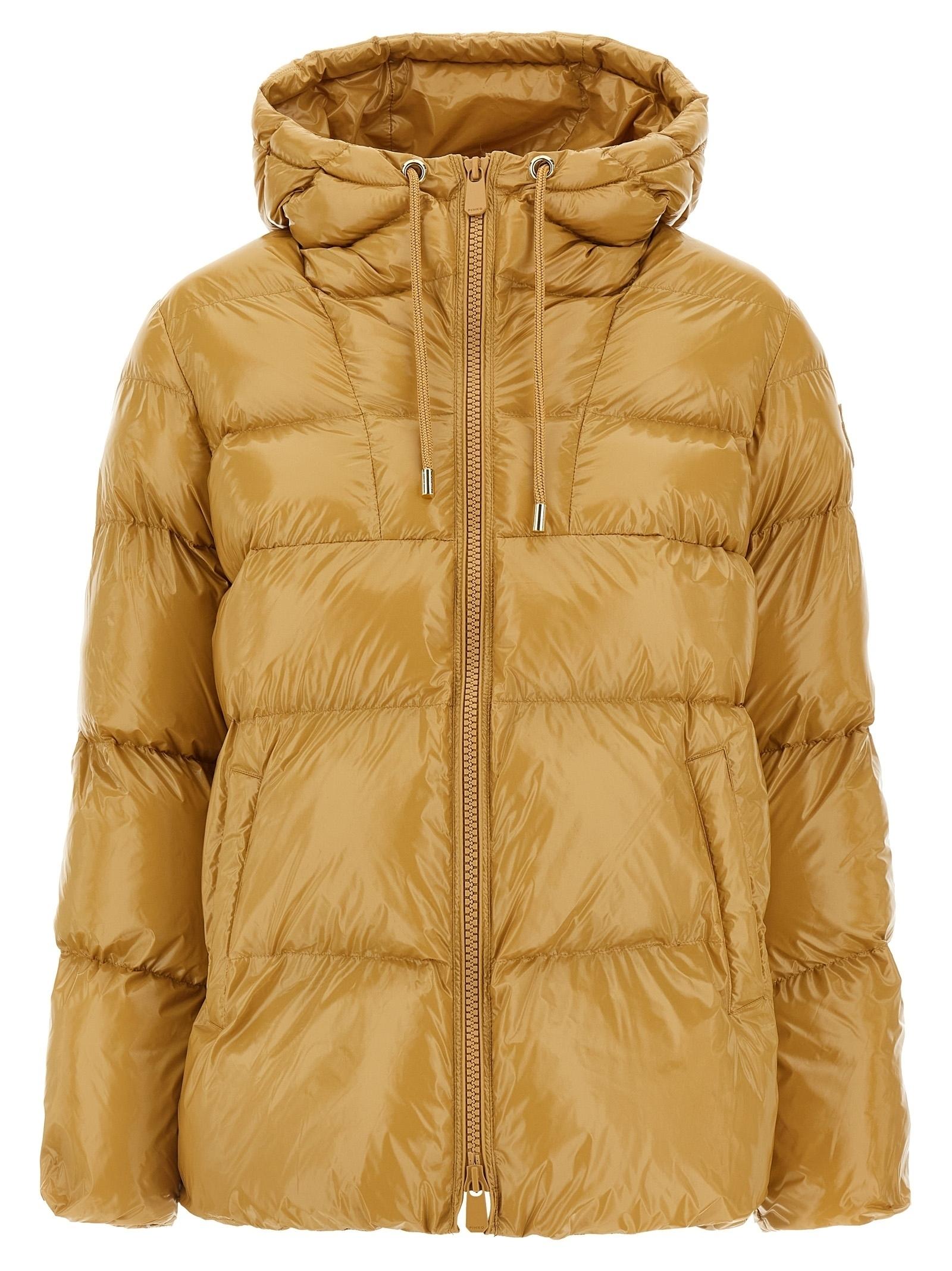 Piumino caban Eleodoro crystal nylon 101597A2P7 D93 PINKO 