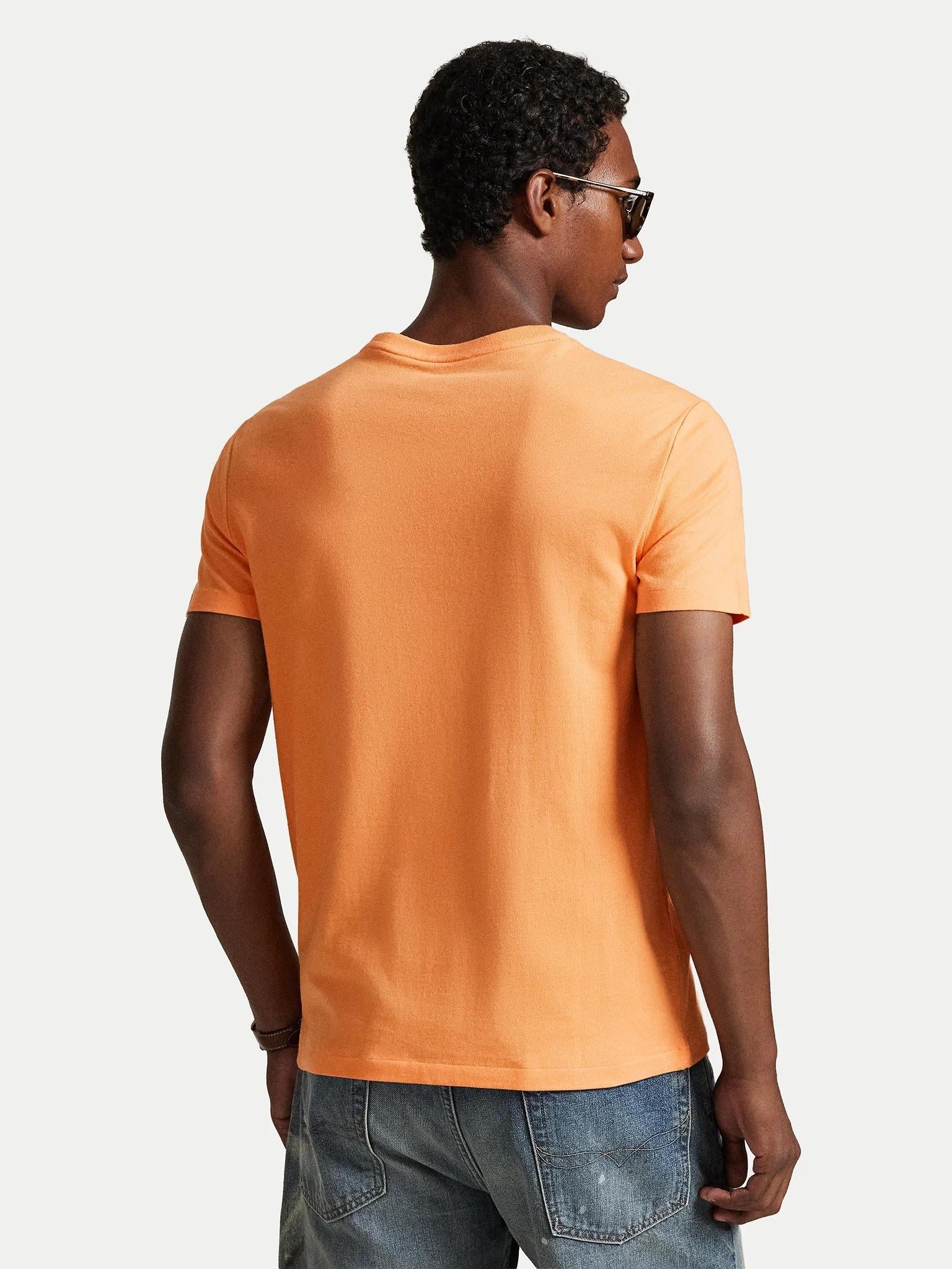 T-shirt uomo in cotone manica corta 710671438 457 RALPH LAUREN 