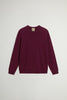 Maglione uomo in pura lana girocollo
